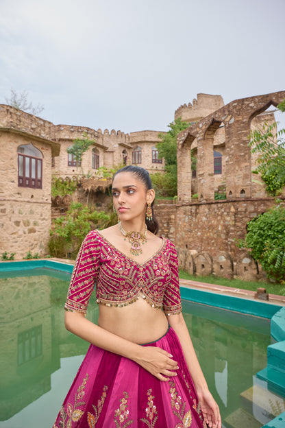 Manushri lehenga, embroidered blouse with coin fringe