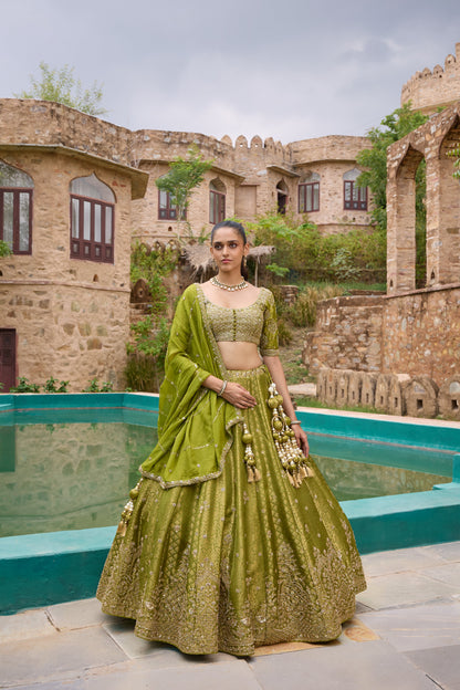 Mokshitha mehendi green brocade lehenga set, full length