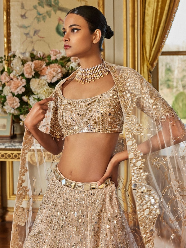 Rose Gold Mirror Work Lehenga Set