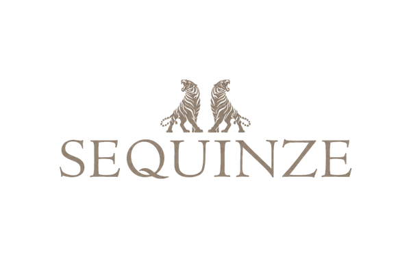 Sequinze India